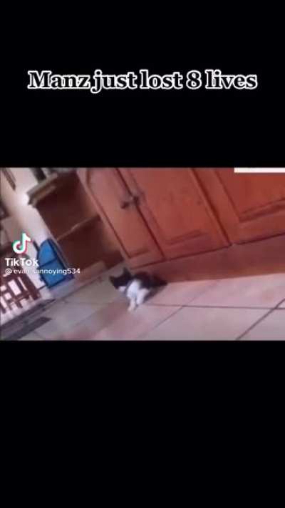 Saw the cats soul leave its body
