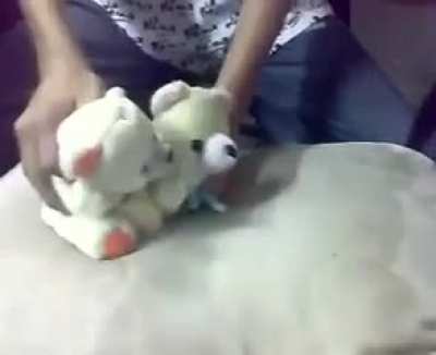 Me haz vomitado en la punta del chipote