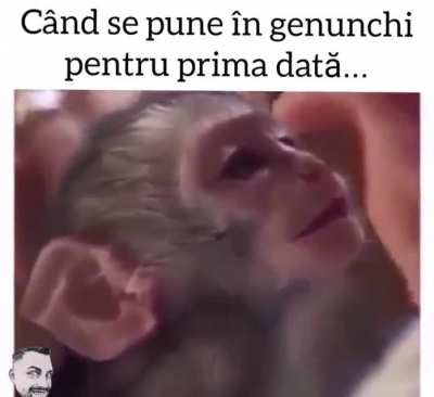 Doar capu😜🙈