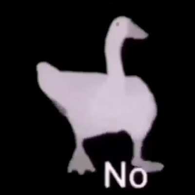 Based duck