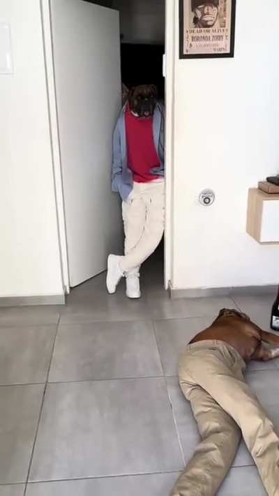 Ruff night