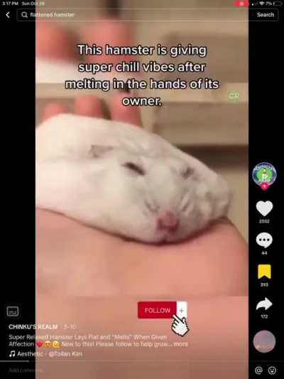 DoglaREDDIT - Video #7072