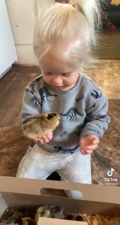 No kitty!