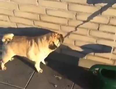 Hmm
