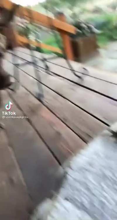 D: