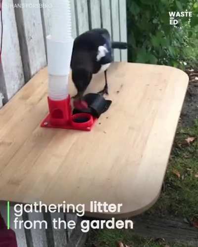 I dunno if I am more in love with the crows or the guy, but this made me happy.