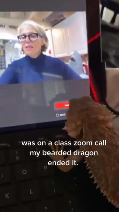 blursed_  Dragon