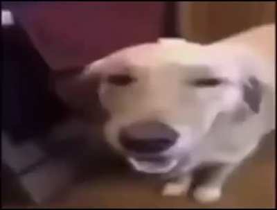 * epic drop dubstep *