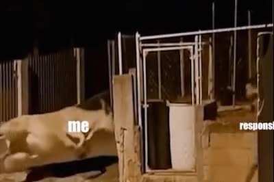 my life in a nutshell