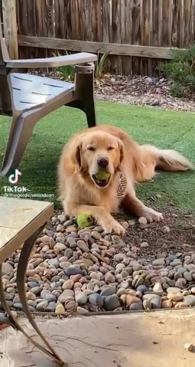 Oh no dropped his ball
