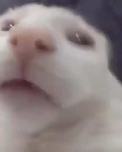 Could someone void this?
