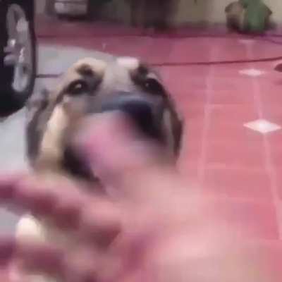 SquarePosting - Video #1109