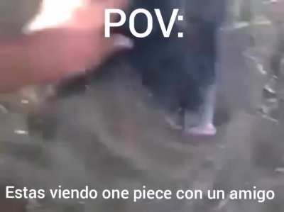 Pasen el capítulo donde se pone bueno