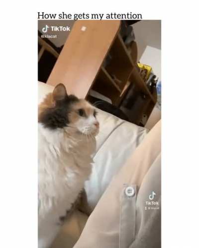 Эй, не отвлекайся давай!