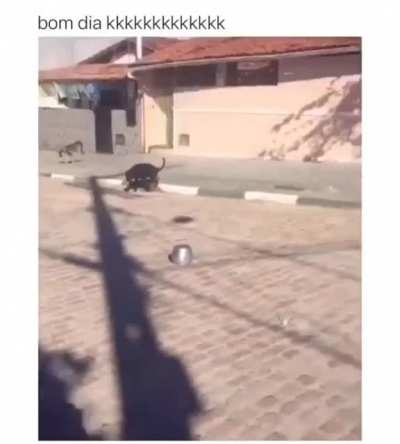 Boom