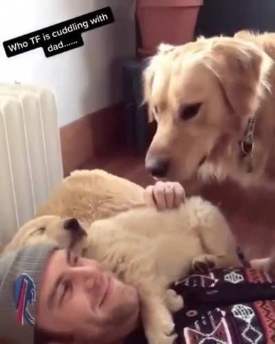 The look of betrayal is enough to make a full grown man cry