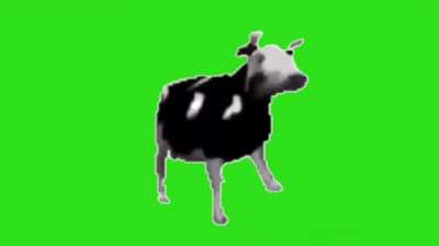 Polish cow meme template