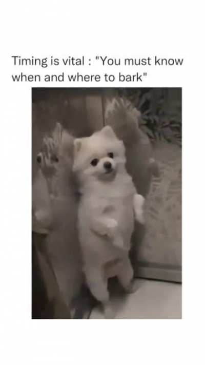 Ya'll lucky dis mah floor.... woof