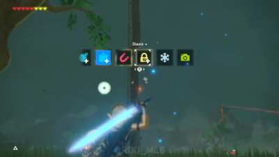 Bokoblin combo