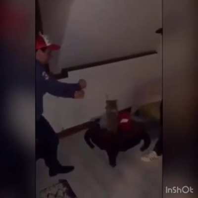 Sleeping drunk
