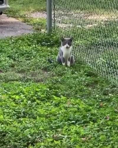 The hell you staring at bruh?