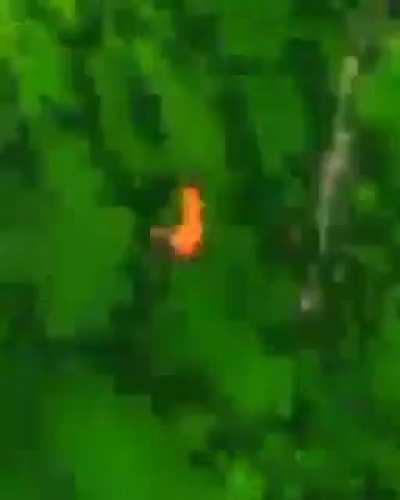 iLuTV - Video #1731