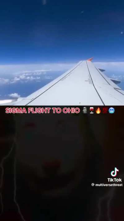 Niggs