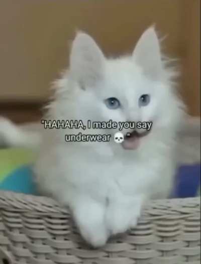 so cute