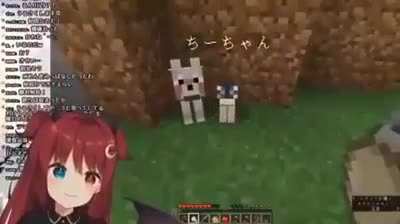 chii chan :)