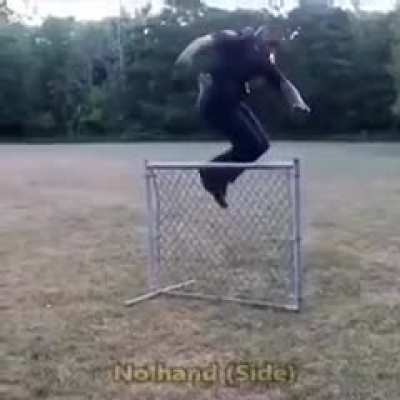 Syphus in training