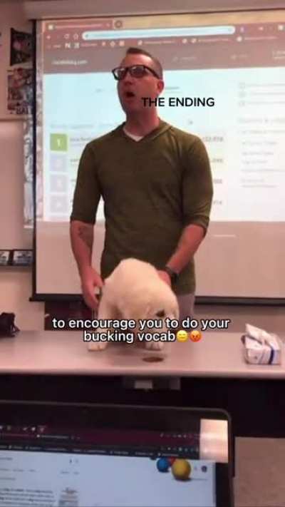 Not the pup