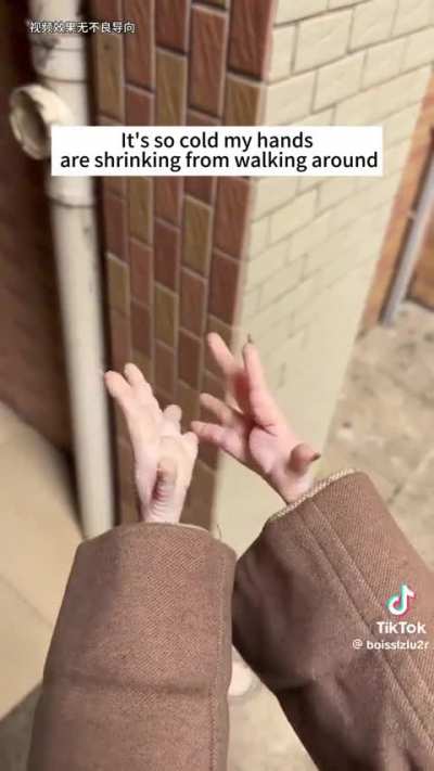 Hands in the cold