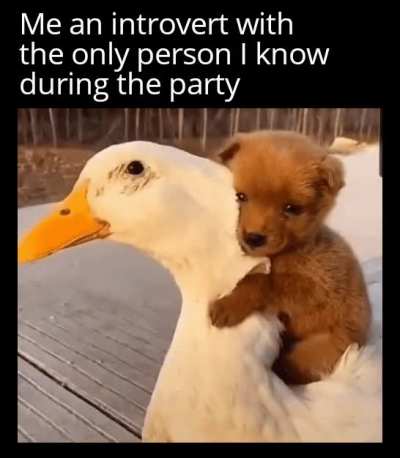 Got you homie (took from r/wholesomegifs)
