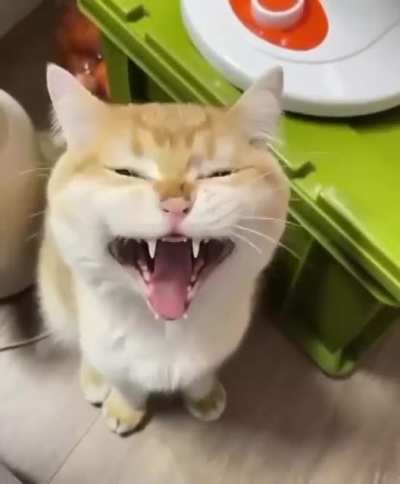 i want to sleeeeeeep