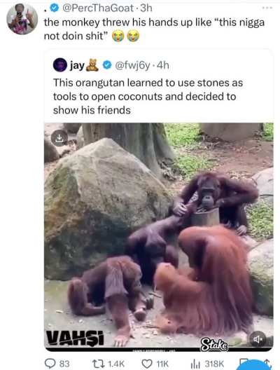 The orangutan said “this guy is wasting our fucking time “ 