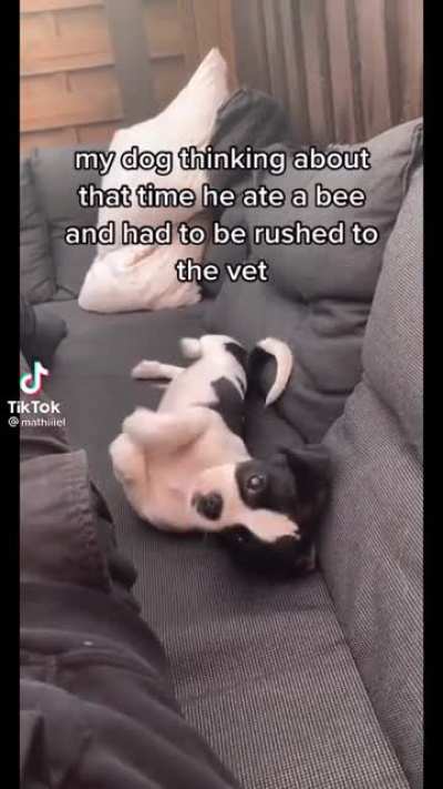 🐝