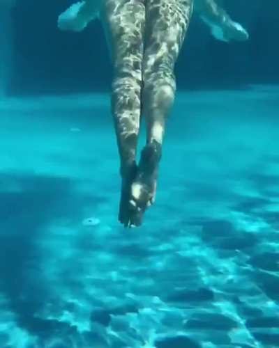 Booty in the pool