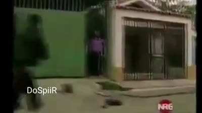 ههههه