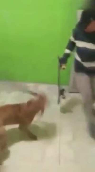 Wtf