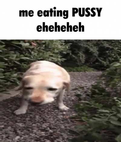 lol