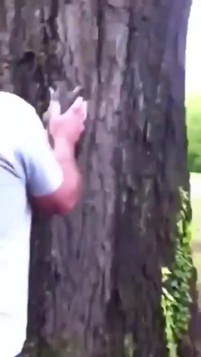 Sneak 200