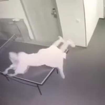 Ещё одна великолепная концовка.