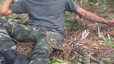 Man stays calm to escape a rattlesnake