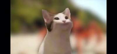 CatRave
