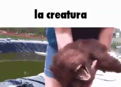 Tiky moster