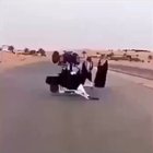 free سمكة غريبة 2012 😱 abdul_video