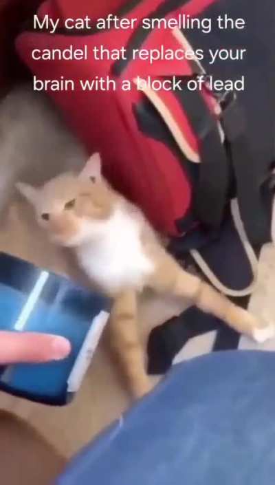 Teehee