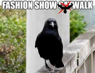 Fashion Catwalk