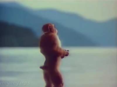 monke vibing to i wonder