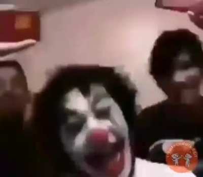 Coringa comunista 😳
